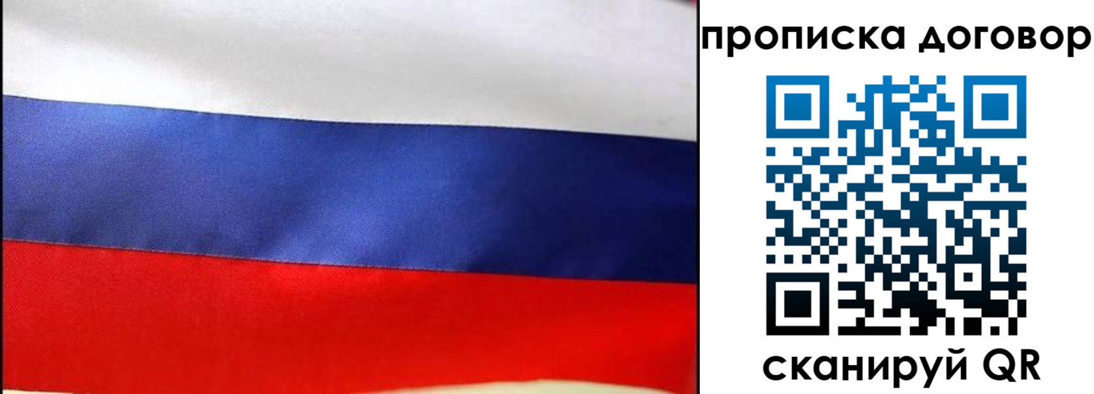 прописка гарантия в Петровске