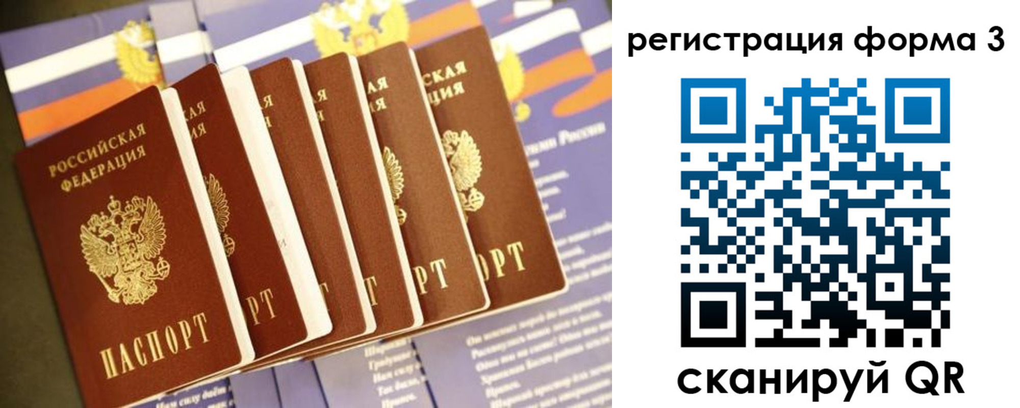 прописка поиск в Петровске